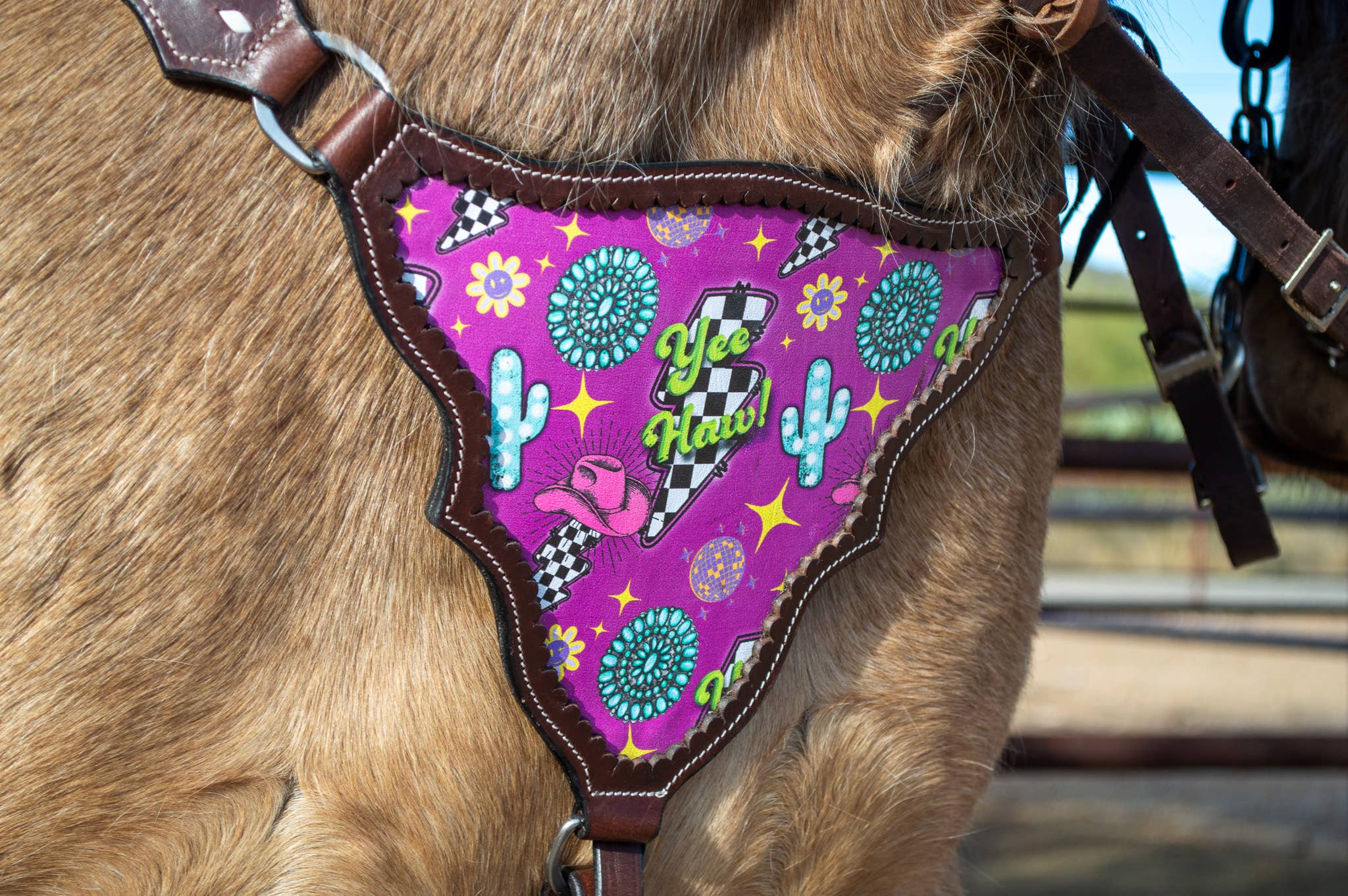 Schulz Equine - Wholesale Horseback Riding Gear - Neon Yeehaw Headstall and Breast Collar Set3