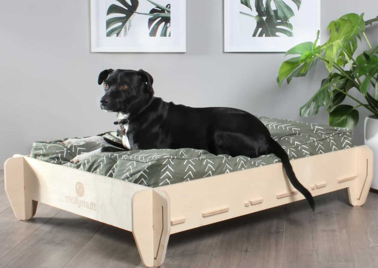 Dog Bed & Dog Crate Mat Plush, Versatile, & Washable Dog Bed & Calming Dog Bed Small Dog Bed XL Dog Bed & XXL Dog Bed OurPets Bone Designed Dog Crate Mat Large Dog Bed Available Medium Dog Bed 