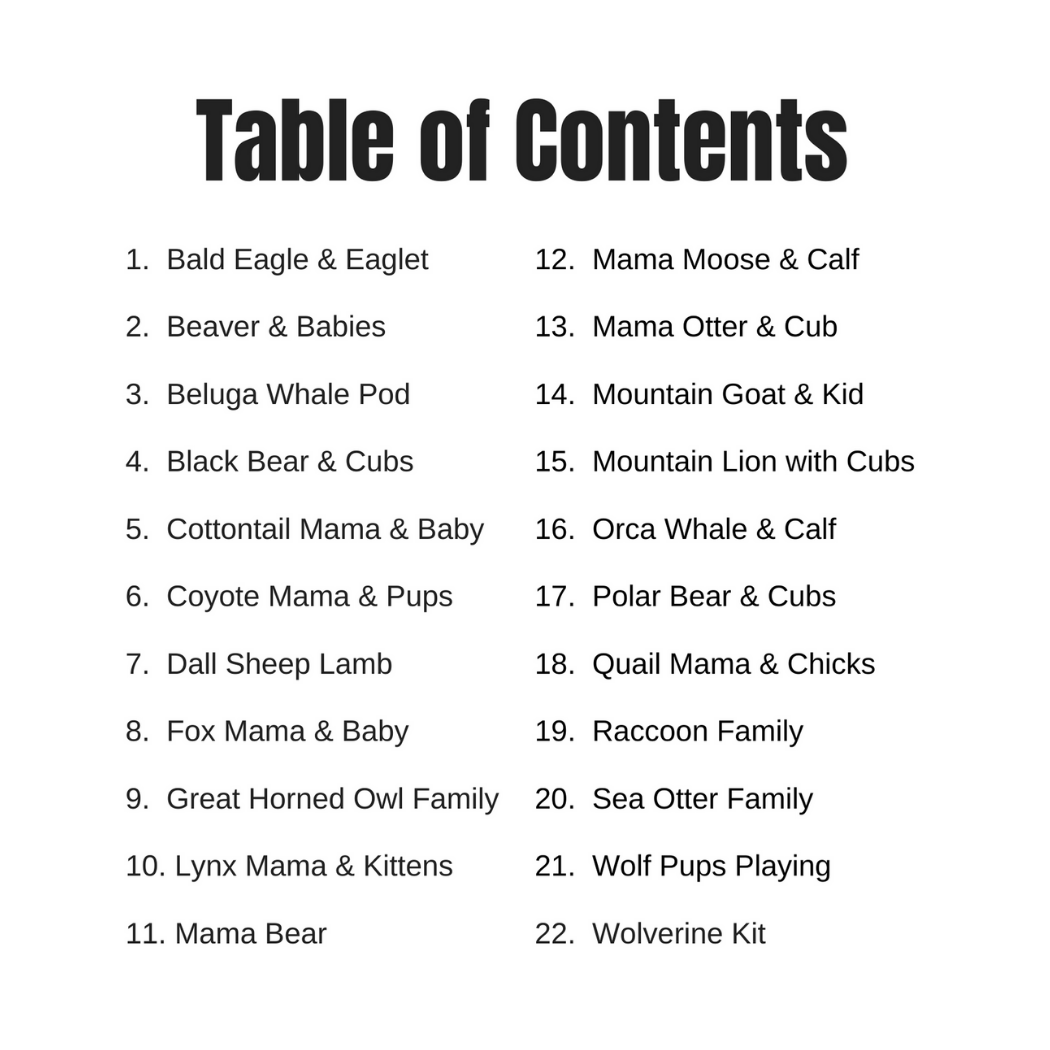 Alaska Wild & Free - Wholesale Coloring Book - Kids & Baby - Baby Animals: An Adventure & Coloring Book4