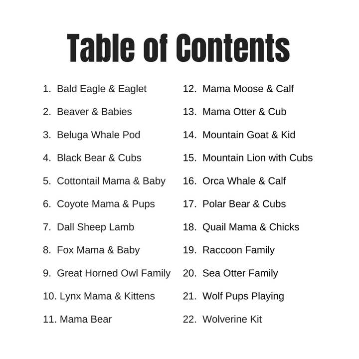 Alaska Wild & Free - Wholesale Coloring Book - Kids & Baby - Baby Animals: An Adventure & Coloring Book4