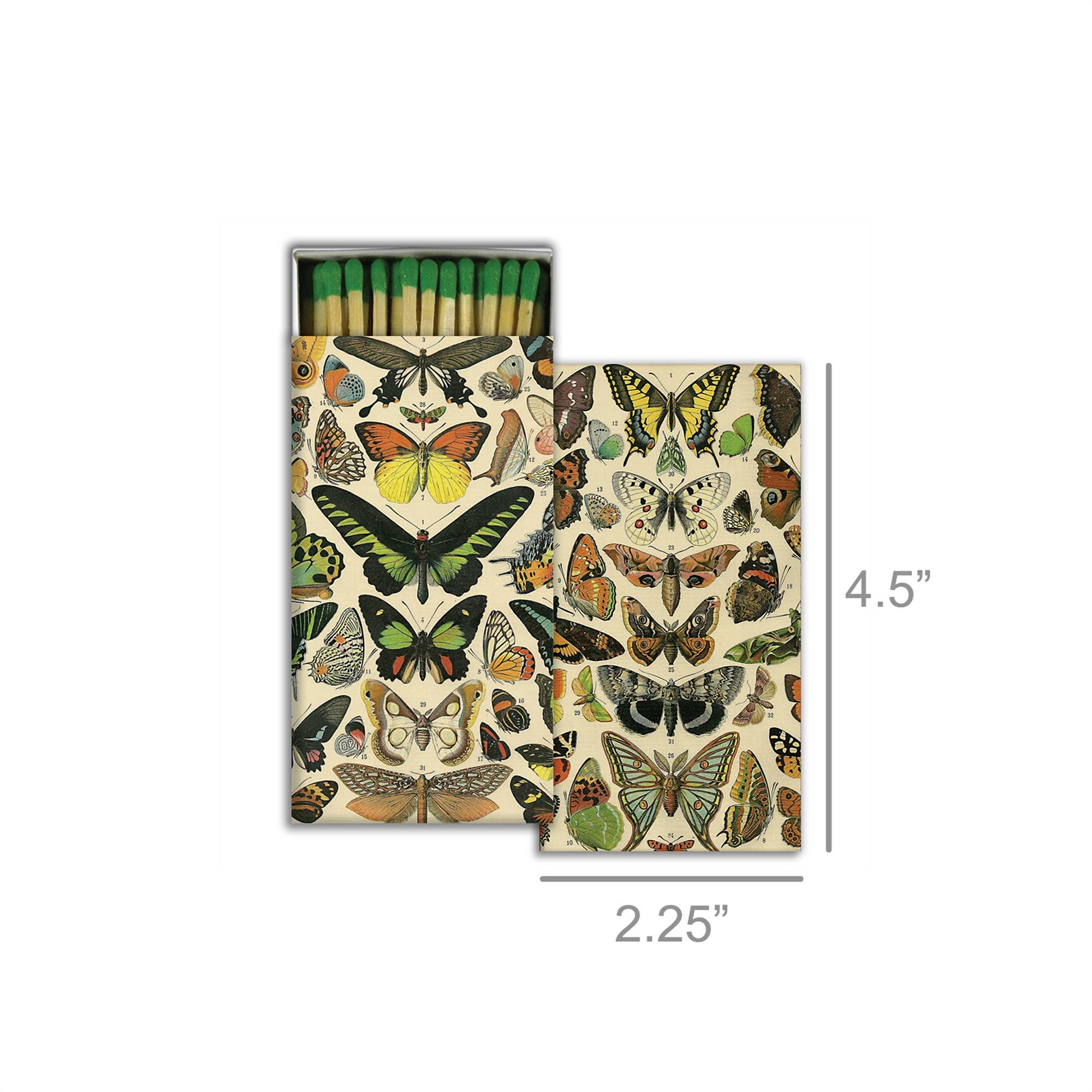 HomArt - Wholesale Matches - Matches - Butterfly Specimens1
