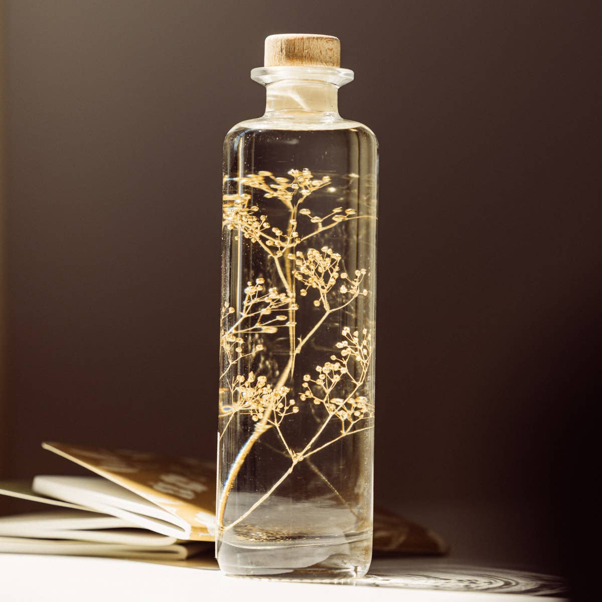 Theophile Berthon - Vente Plante - L'Herbarium Gypsophile Or - plante immergée10