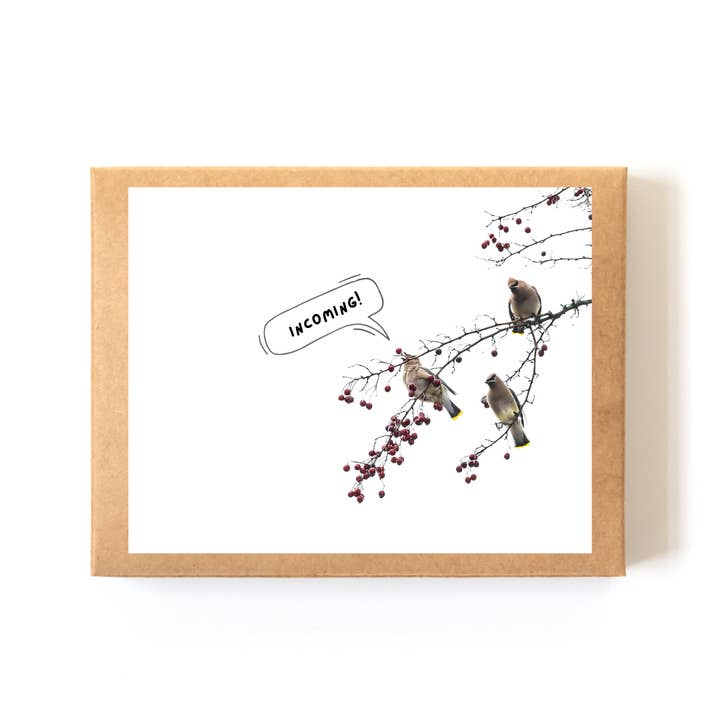 "Inkommande!" Boxat kortset (8 kort + kuvert) för wholesale av Andrea Morris Art