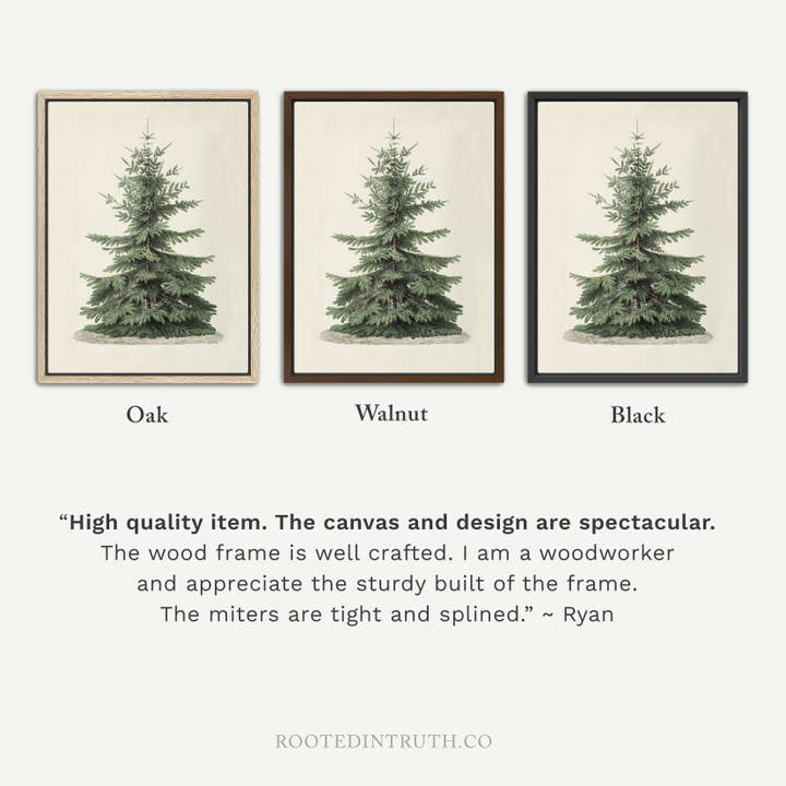 Rooted in Truth – Engroshandel Kunsttryk – Vintage juletræ vægkunsttryk Ferieindretning, Natur2