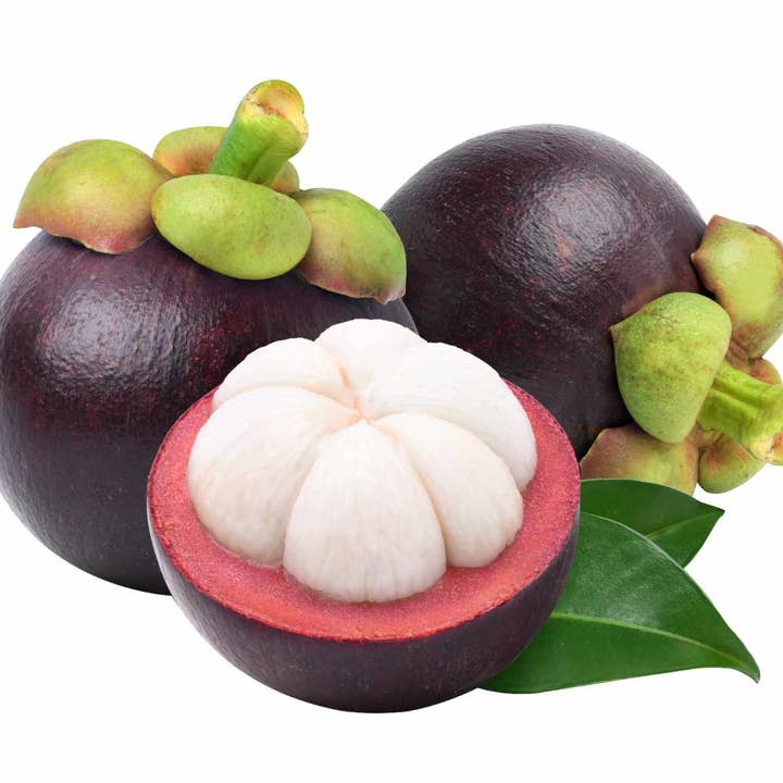 Nokki Farm - Wholesale Dried/Dehydrated Fruit - NOKKI FARM Freeze Dried Mangosteen Crisps - No Added Sugar4