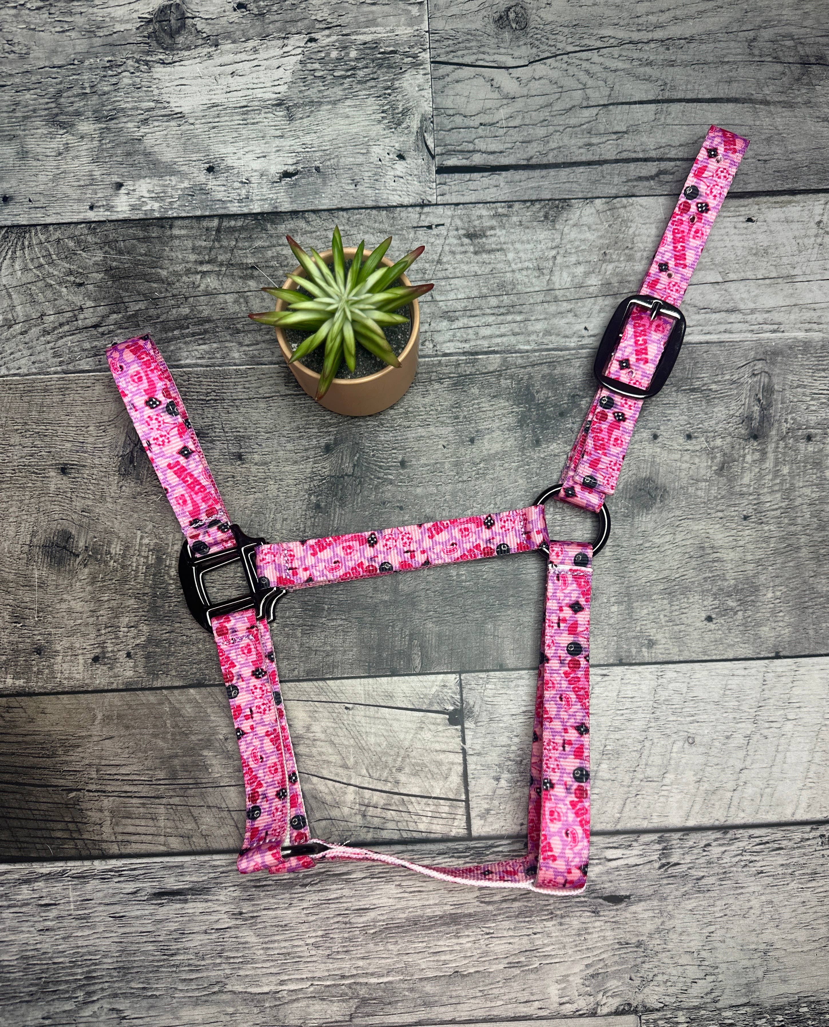 Schulz Equine - Wholesale Horseback Riding Gear - Nylon Halter - Horse Size30