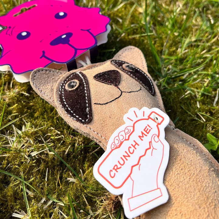 Funny Zoo - Wholesale Pet Squeaky Toy - Dog - Dog toy with bottle inside Cat2