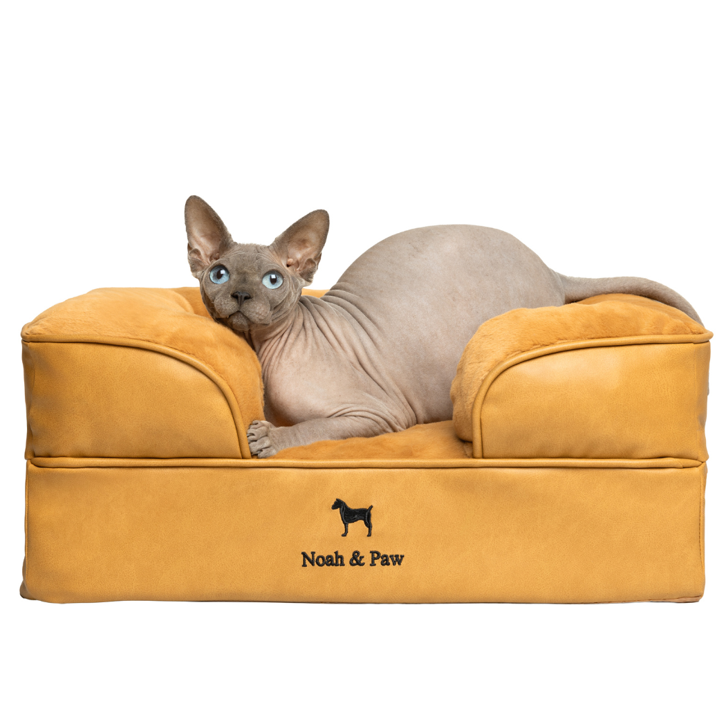 NOAH AND PAW LLC – Großhandel Haustierbett – Katze/Hund – Orthopädisches Hundebett im Sofastil aus Kunstleder mit Memory-Schaum und kühlendem Gel5