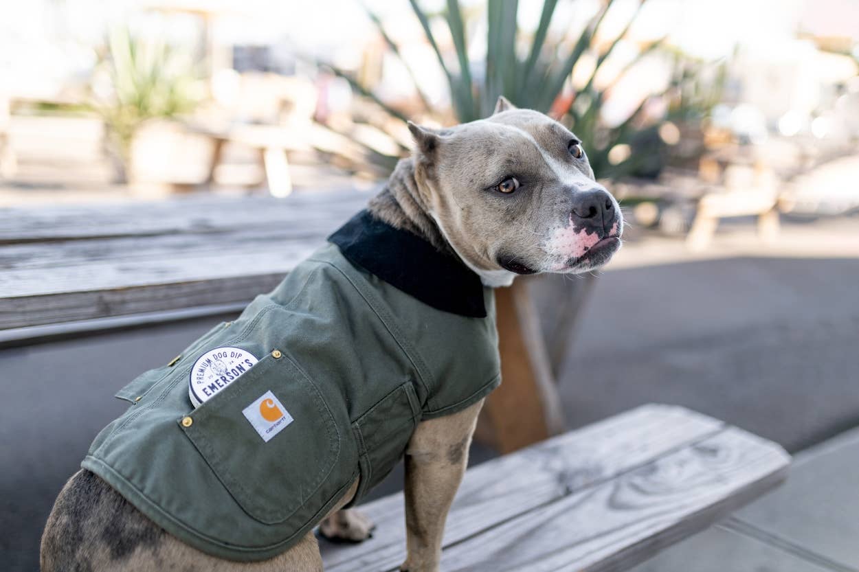 Emerson's Ruff – wholesale Godis - Hund – Premium hunddipp- NÖTKÖTT & SVAMPAR1