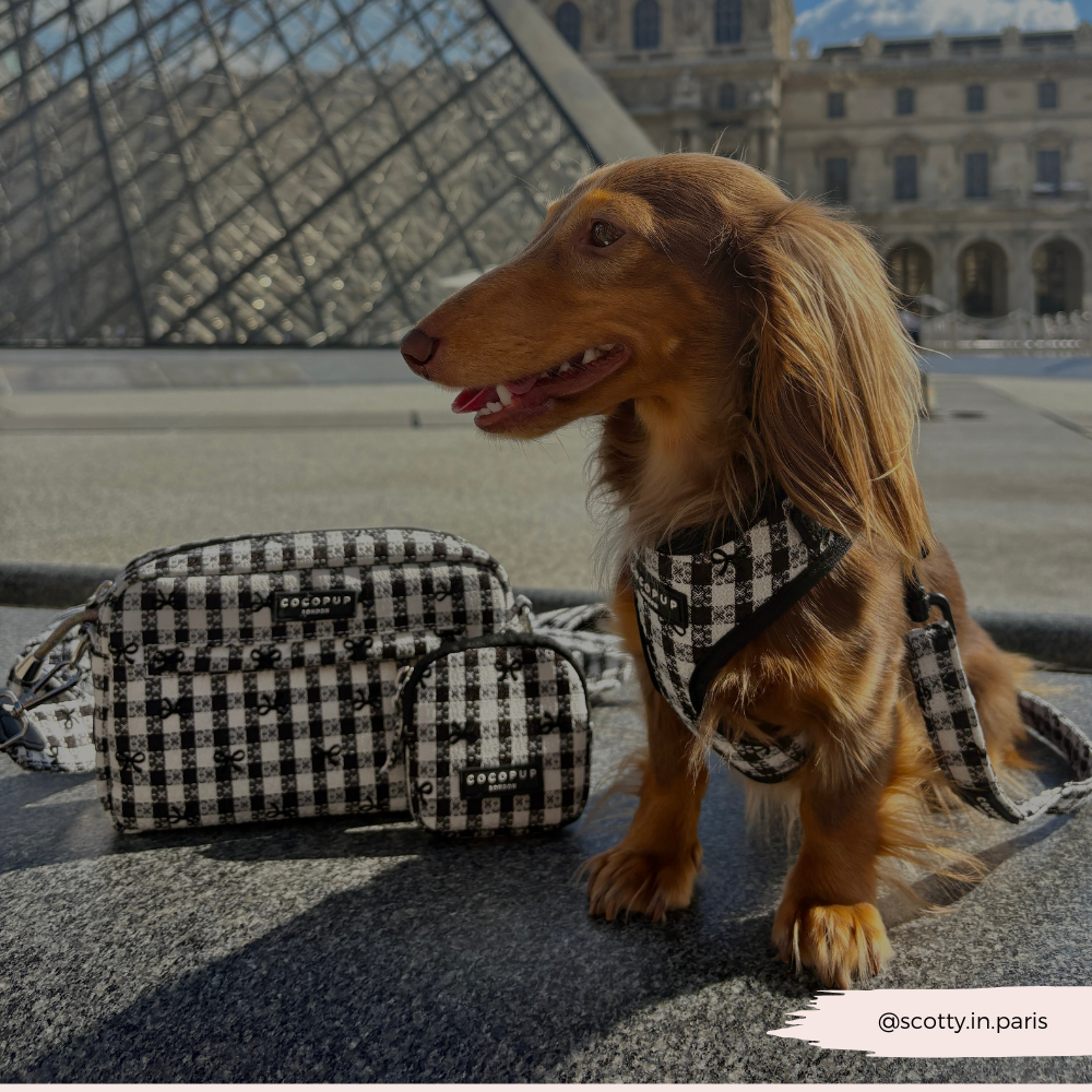 Cocopup London – wholesale Pet harness – Dog – Pup in Paris Adjustable Neck HARNESS11