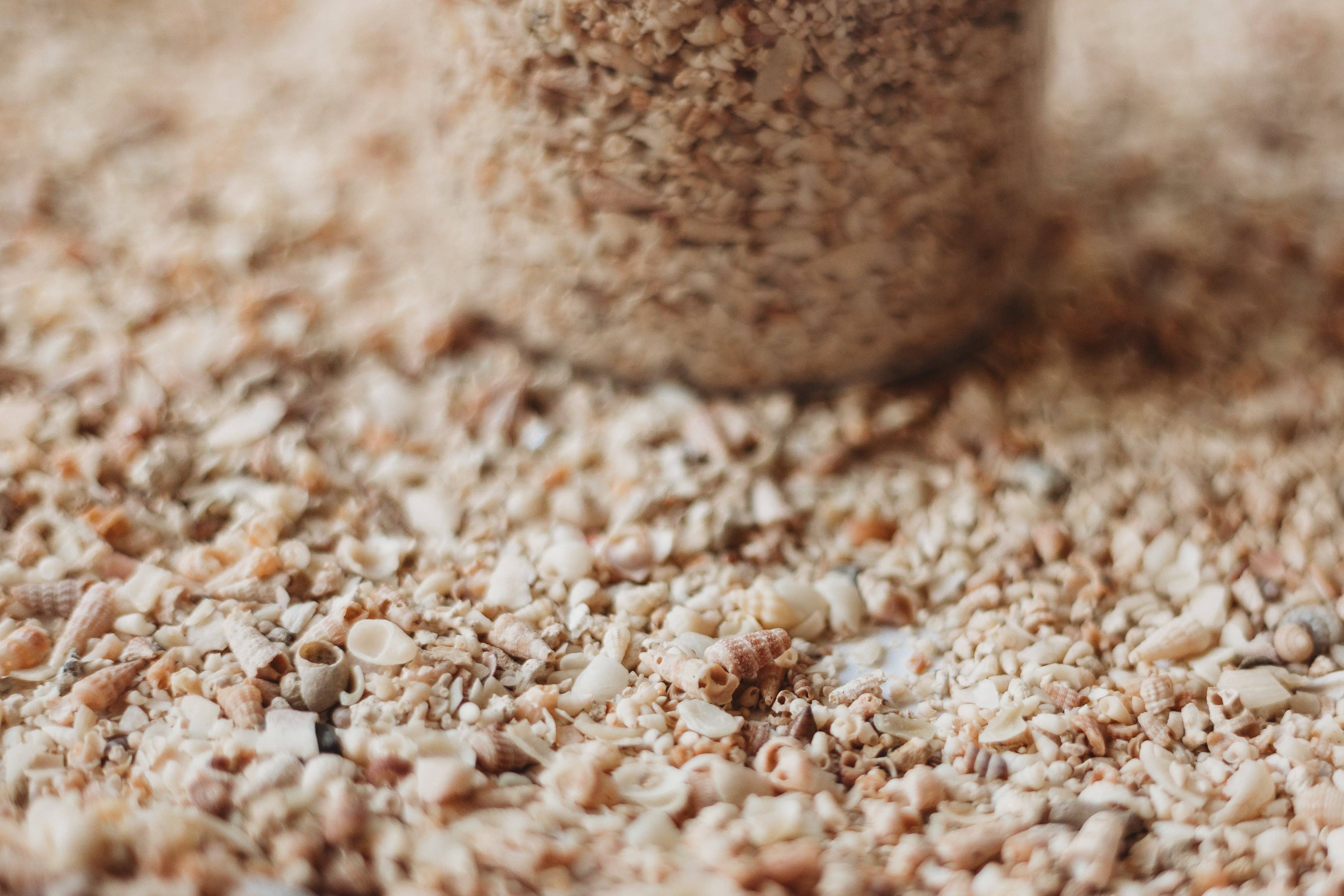 The Saltwater Collective - Wholesale DIY craft kit – Child - Shell Sand4