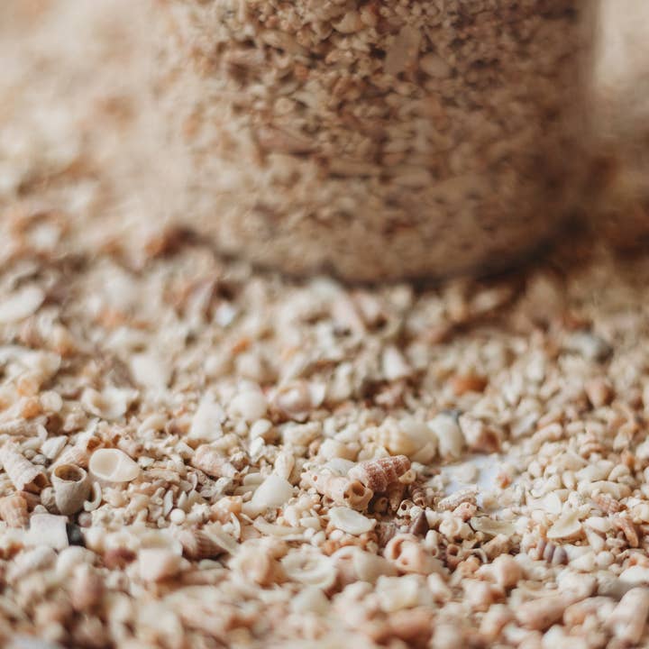 The Saltwater Collective - Wholesale DIY craft kit – Child - Shell Sand4