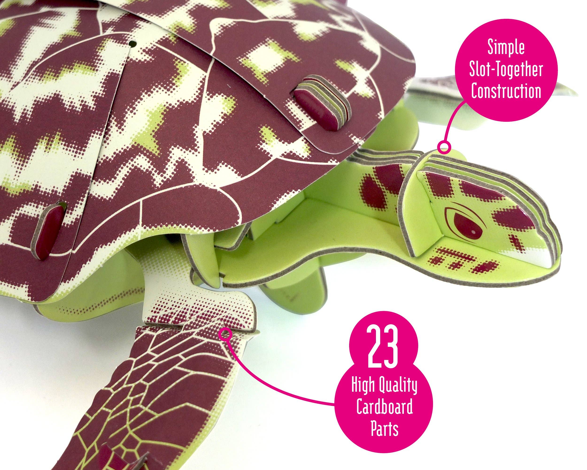 Build Your Own - Wholesale DIY Craft Kit - Kids - Build Your Own Hawksbill Turtle - Eco-Friendly Craft Kit4