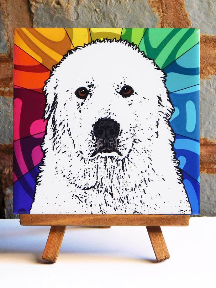 Carrelage d'art en céramique des grandes Pyrénées pour la vente par Sabyloo