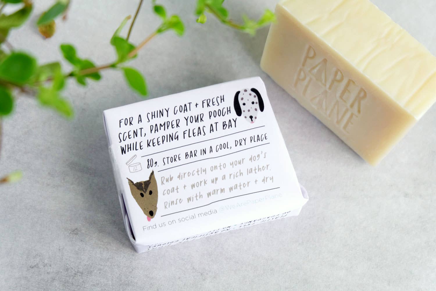 Paper Plane (US Duties Paid) - Wholesale Pet Shampoo - Dog - Dog Shampoo 100% Natural Vegan5