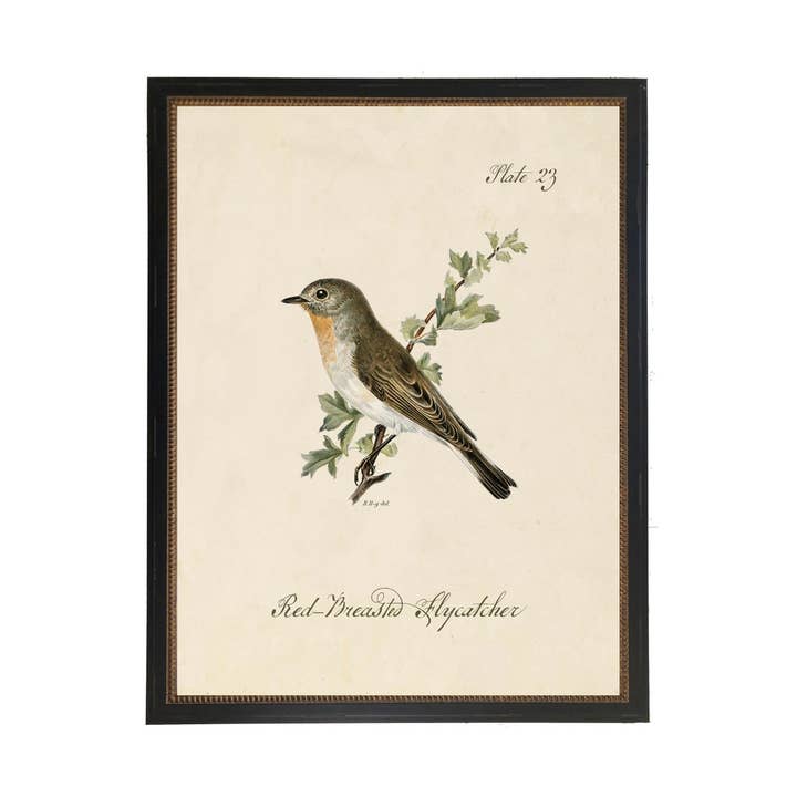 Elibris vintage a forma di uccello con pigliamosche dal petto rosso per la vendita all'ingrosso da parte di Antique Curiosities Inc