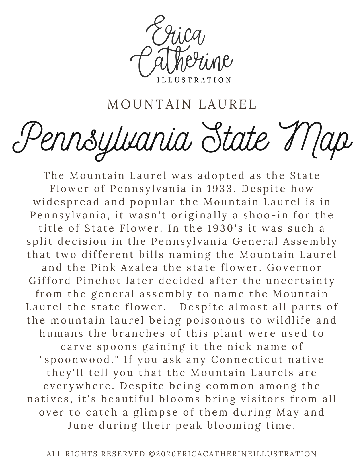 Erica Catherine Illustration – wholesale Art print – Pennsylvania State Map Art Print2