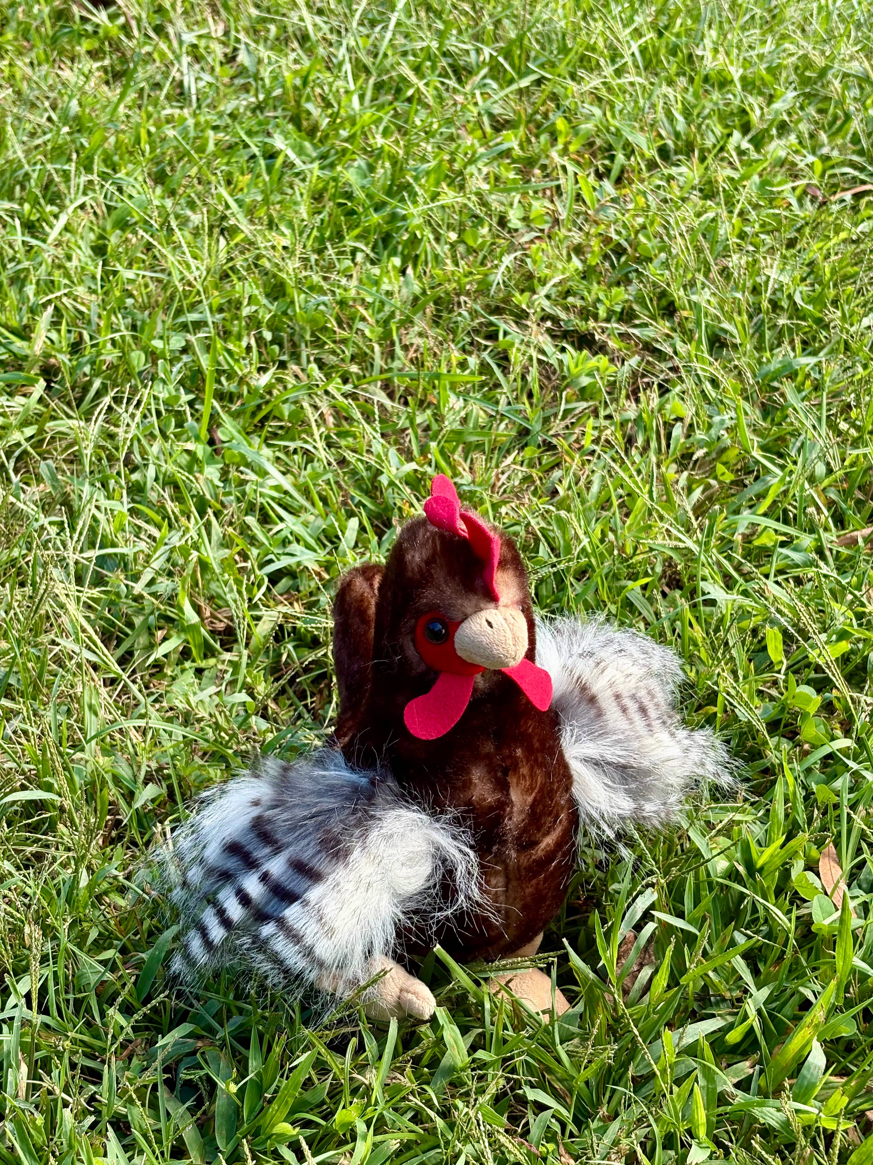 The Petting Zoo - Wholesale Stuffed/Plush Toy - Kids & Baby - 9" (20cm) Wild Onez Chicken Brown2