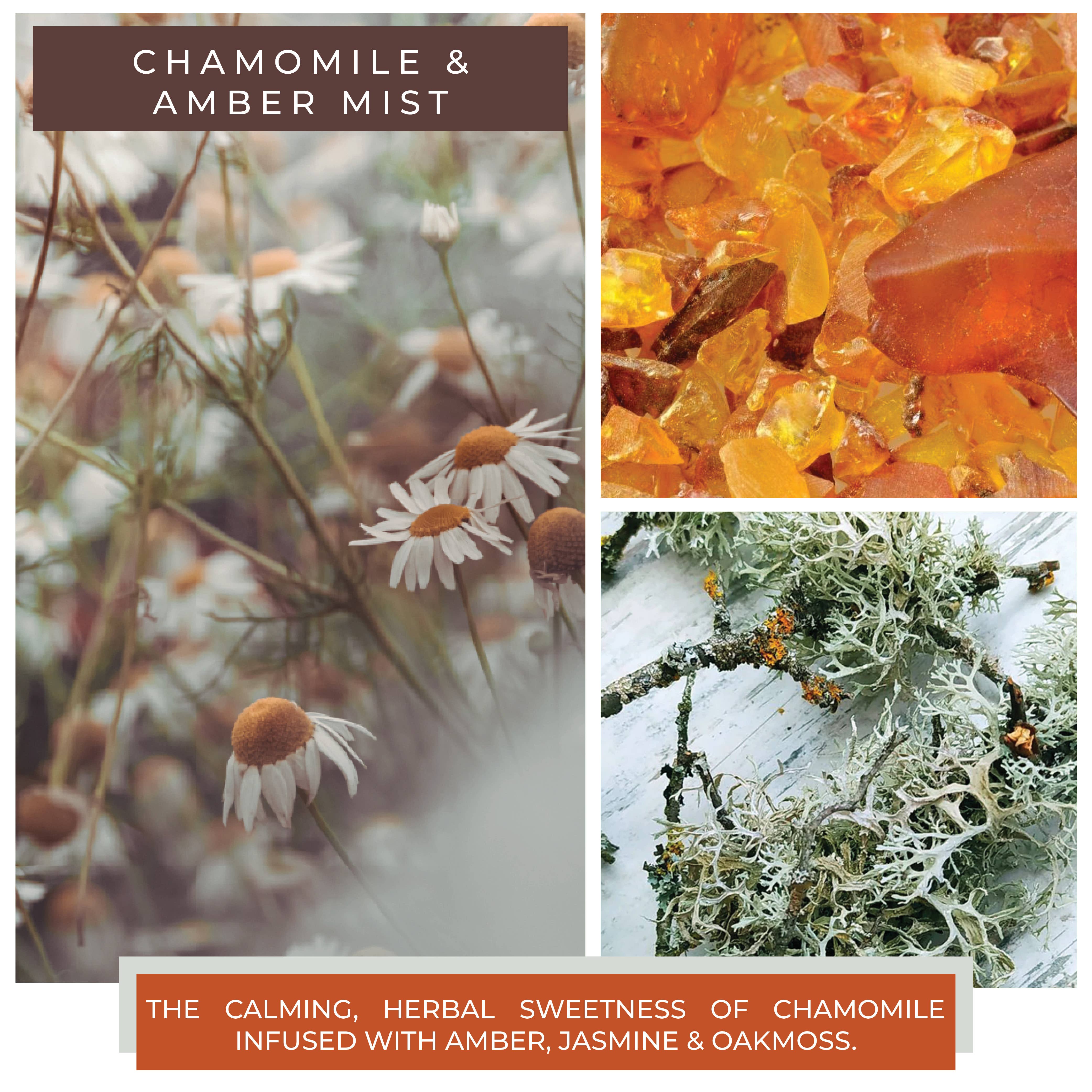 A Cheerful Giver – wholesale Burkljus – Cheerful Candle (453 g) – kamomill och ambermist2