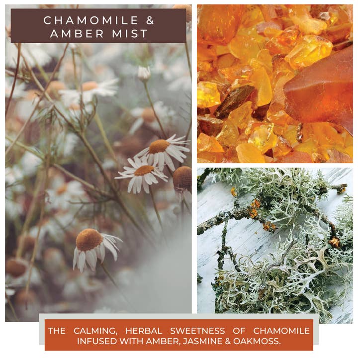 A Cheerful Giver – wholesale Burkljus – Cheerful Candle (453 g) – kamomill och ambermist2