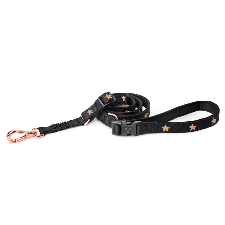 3-in-1 City Dog Leash - Rockstar for wholesale by DOGISTRY™