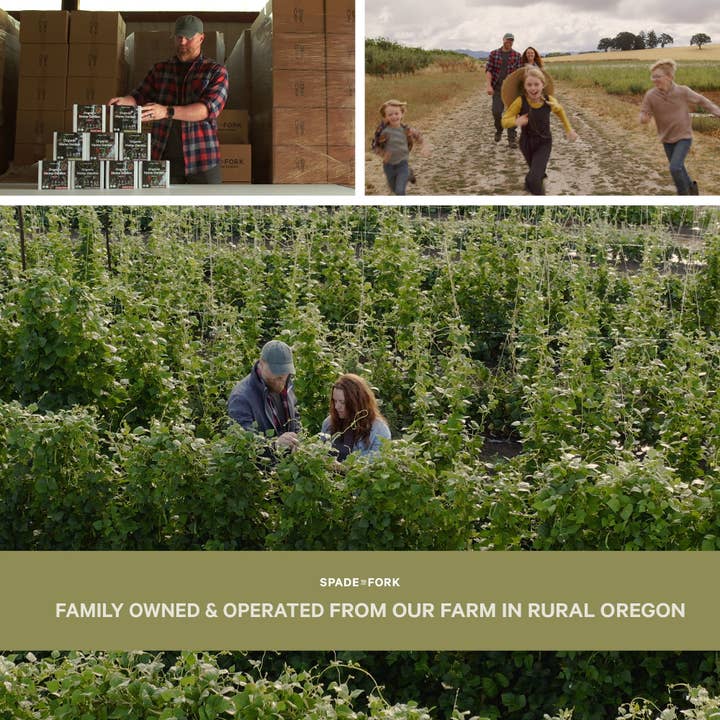 Spade To Fork - Wholesale Plant Seeds - Organic Culinary Herb Growing Kit5