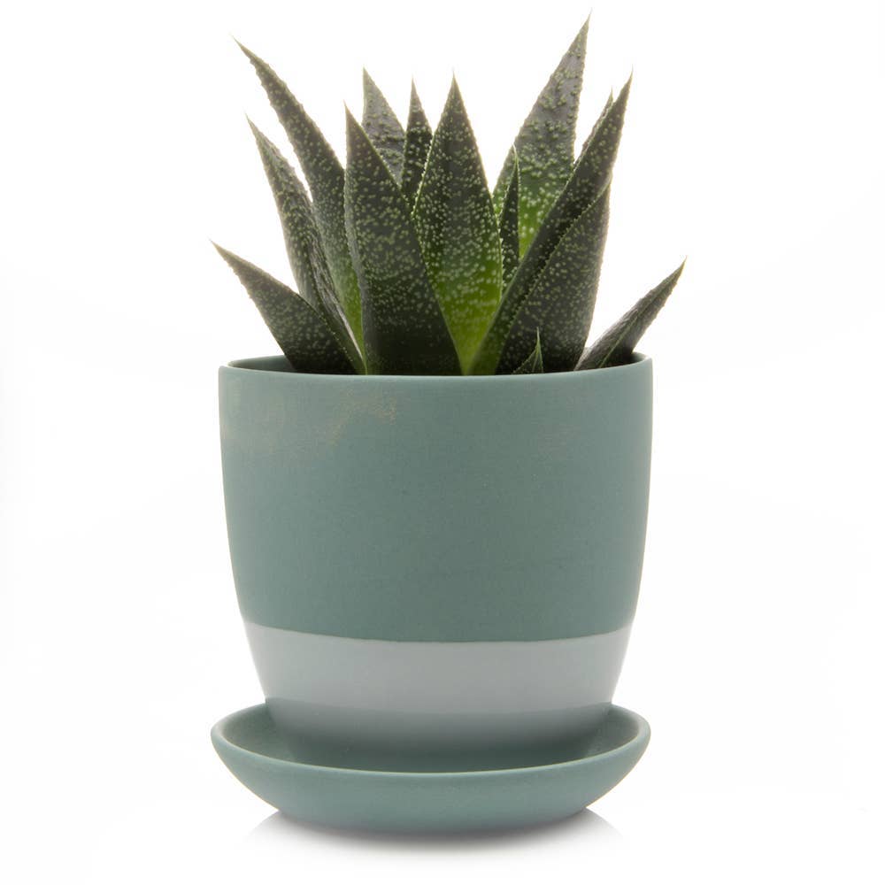 Chive Canada - Vente Pot - Dyad Pots de Plantes et Jardinières de 3 Pouces avec Trou de Drainage1