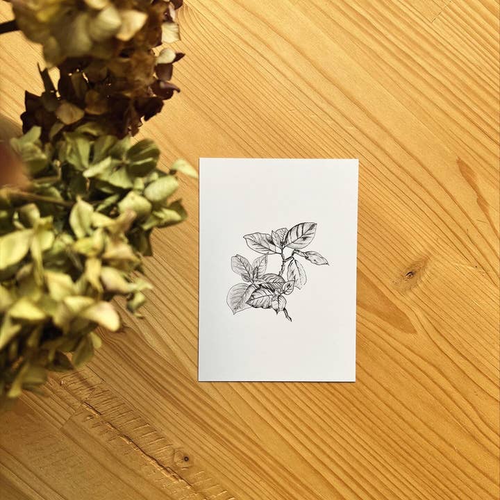 Postcard "Poinsettia" (10.5 x 14.8 cm) for wholesale by Maëlle LESAGE