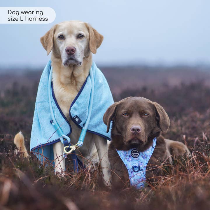 Pawsome Paws - Vendita all'ingrosso Pettorina - Cani - Disney© Tough Trails™ Pettorina - Ih-Oh48