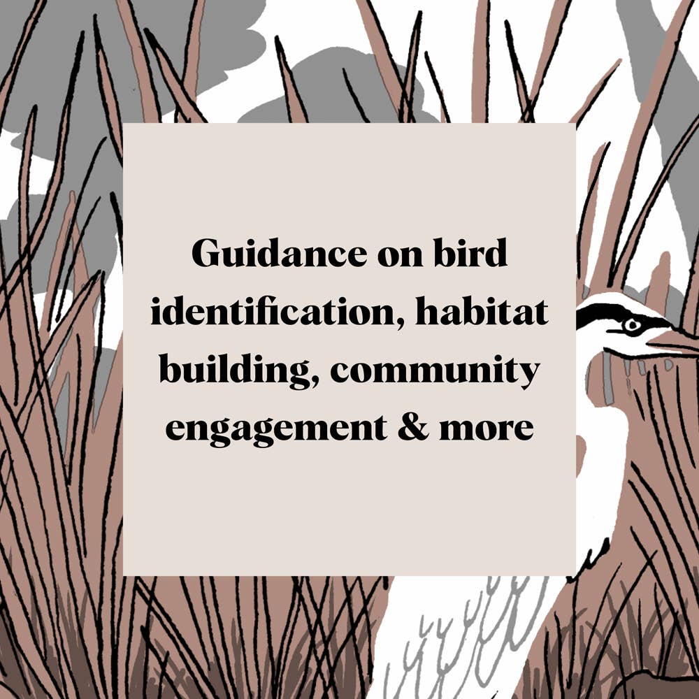 Chronicle Books - Wholesale Nature & Outdoors Book - Pocket Nature: Bird-Watching10