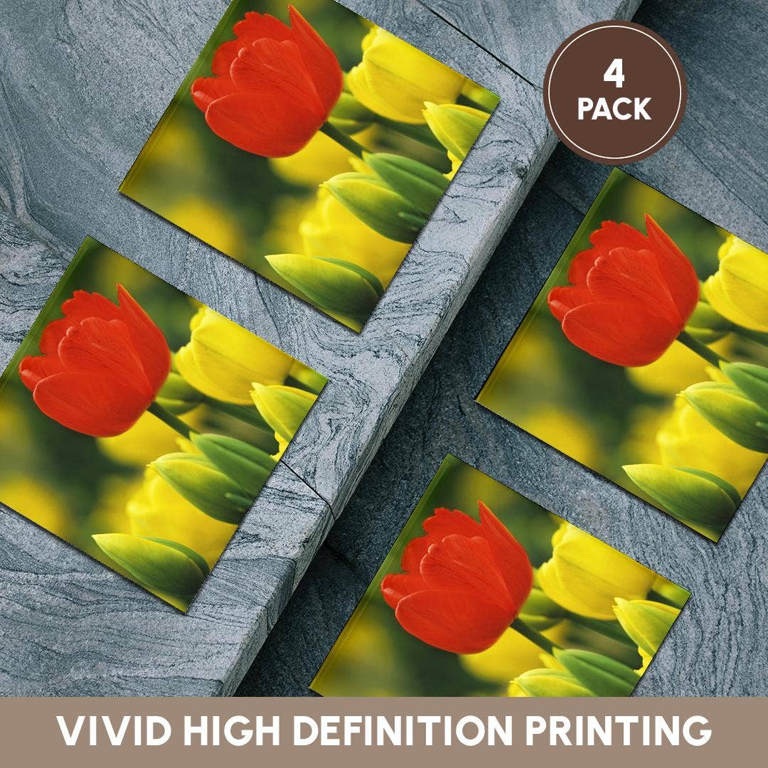 3dRose – wholesale Underlägg – 3dRose, Holland, Keukenhof Gardens. Tulpaner i blomsterträdgård., Glasunderlägg5