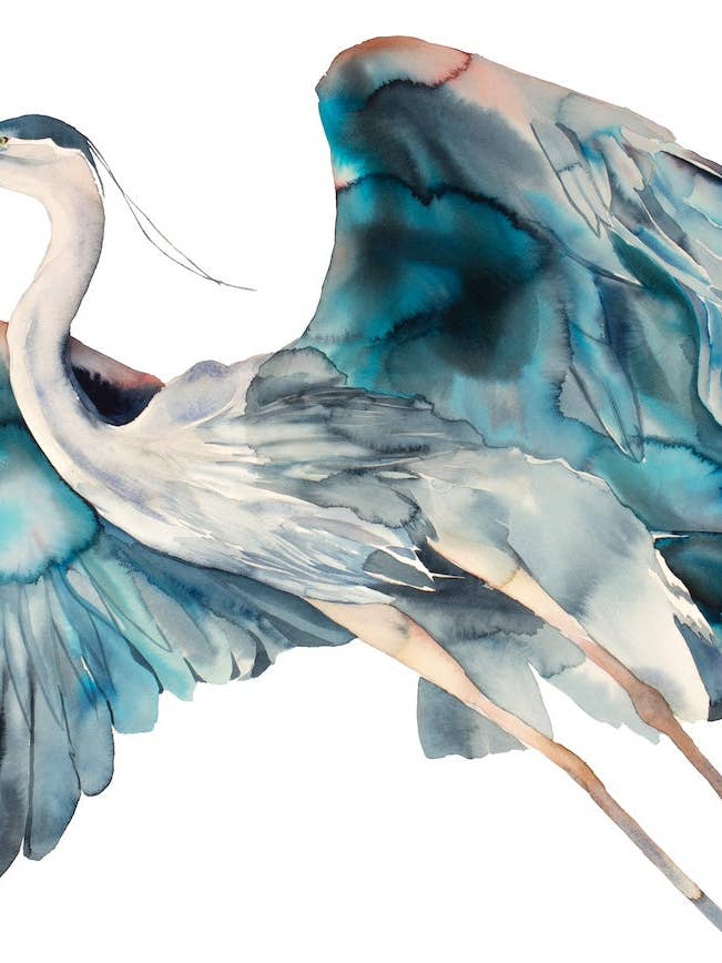 Airone n. 27 per la vendita all'ingrosso da parte di Elizabeth Becker