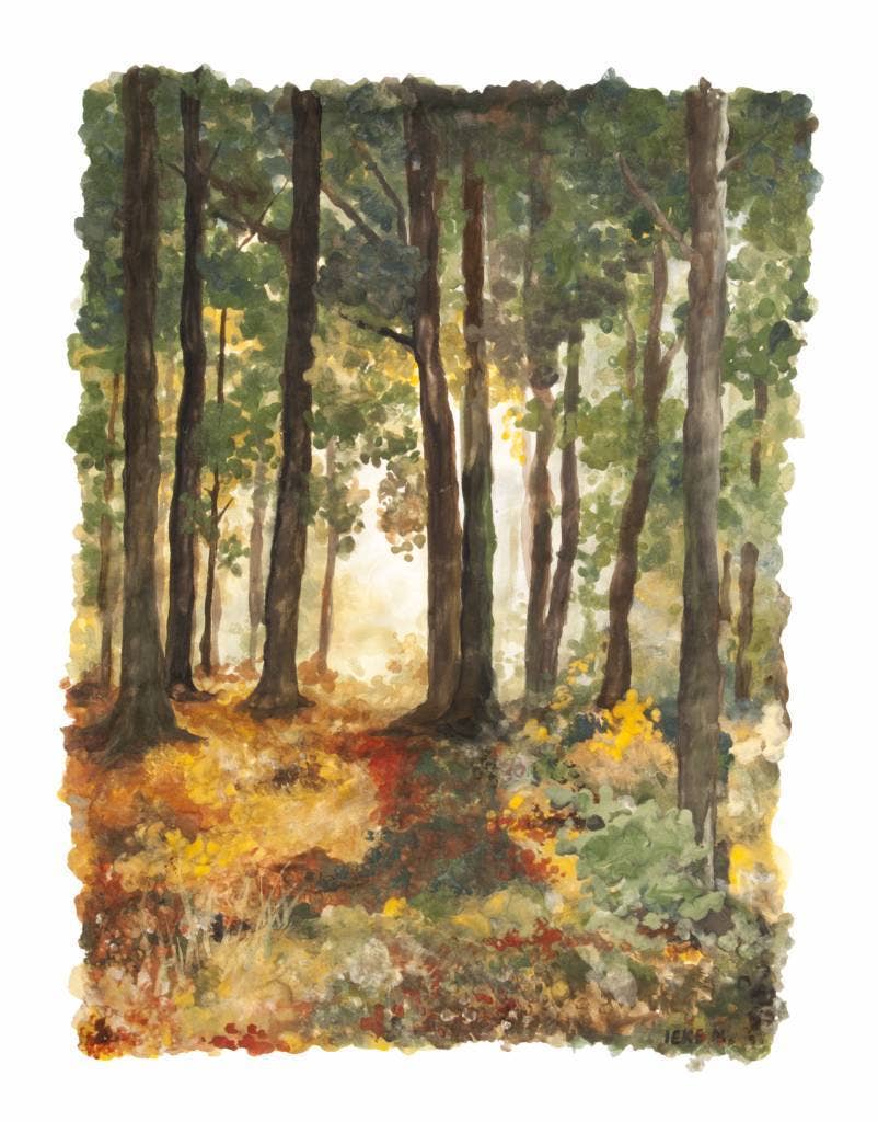 Natural Earth Paint EU - Vente Assortiments de peinture - Kit de peinture à base d'eau pour enfants Earth Paint Découverte2