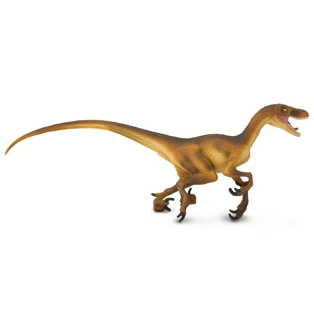 Safari Ltd. - Wholesale Figurine Toy - Kids - Velociraptor Figurine Toy - Kids1