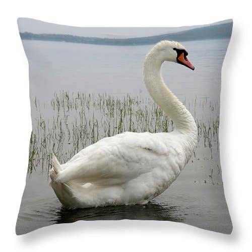 KUSSEN „DE BLIK VAN DE ZWAAN” voor wholesale door sorayadapuzzostore