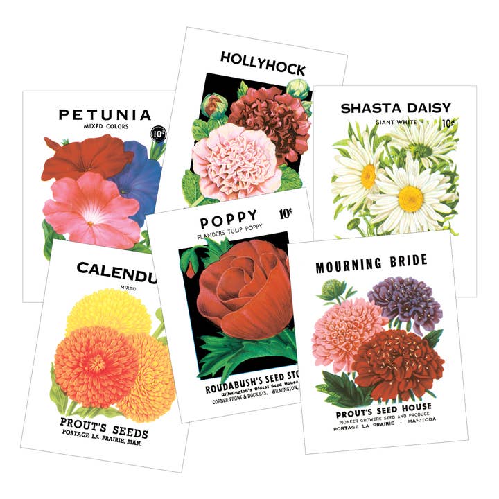 Vintage Seed Packet Postcards - Pack of 12 for wholesale by Idea Chic