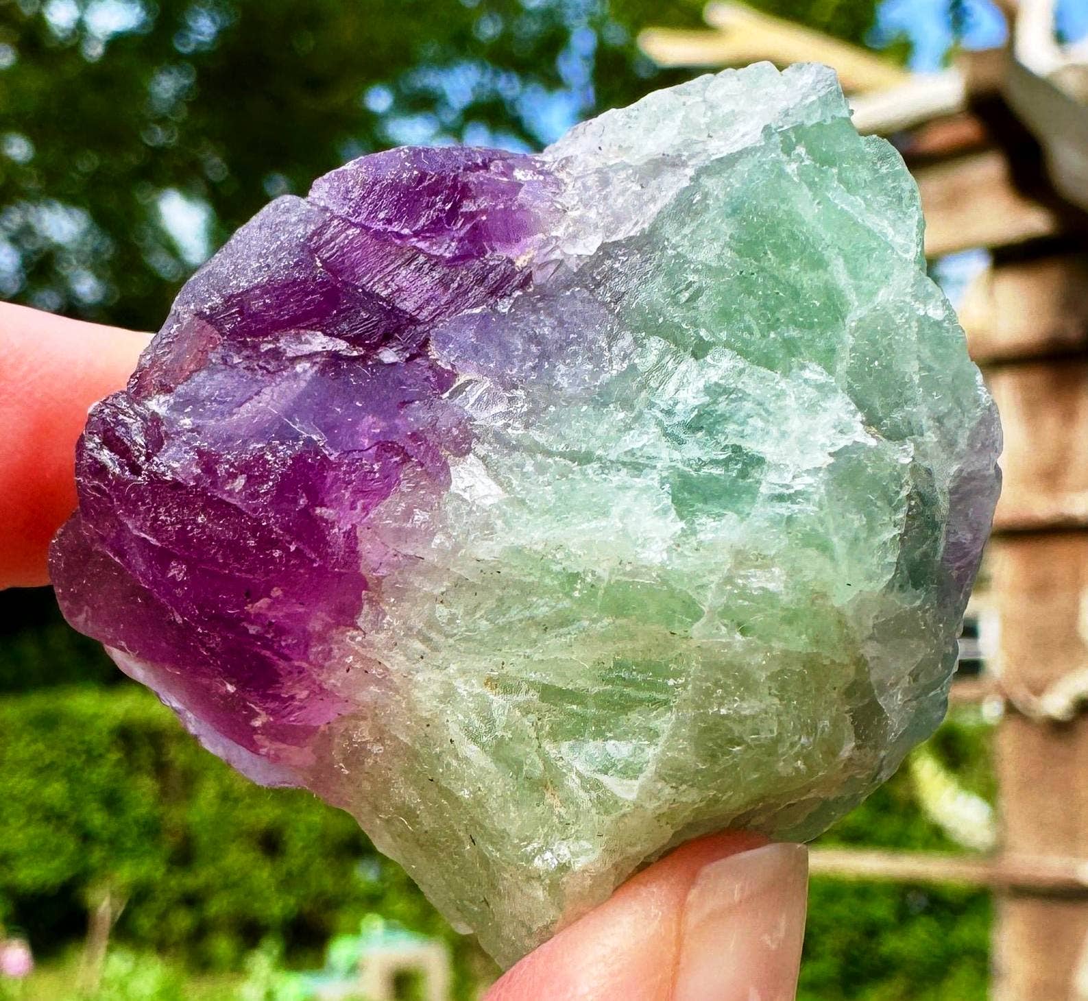 Elf Kendal Hippies – Engroshandel Spirituelle sten og krystaller – rå fluoritkrystal 3-5 cm rå fluorit ædelsten 1-2 tommer1