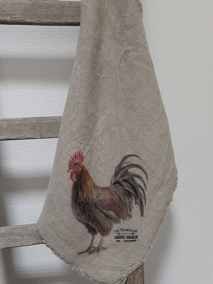 Gallo de colores con aspecto desaliñado para venta al por mayor de Nino-Art