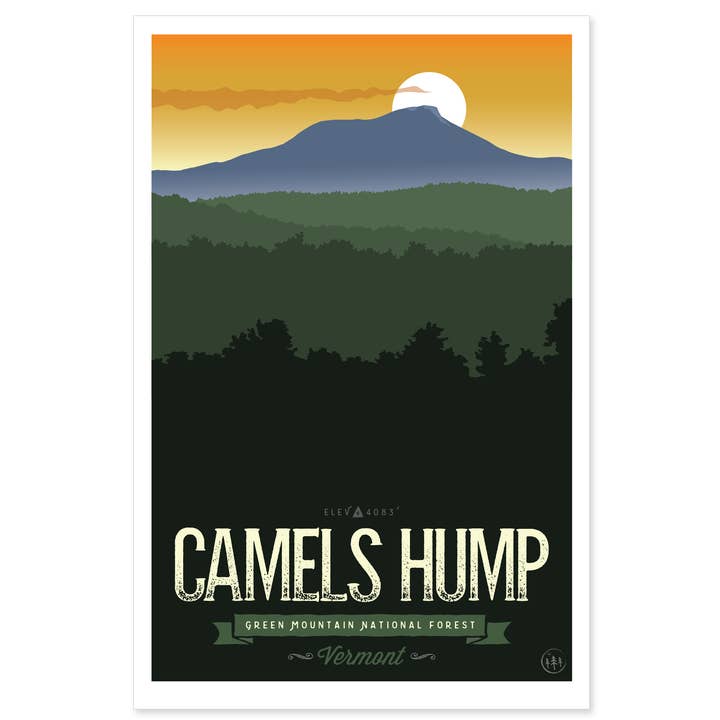 Bosse de chameau pour la vente par Forest City Designs