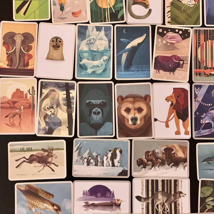 Magnifique Hearts – Engroshandel Postkortsæt – Postkort med vilddyr i vintage-stil og smukke illustrationer2