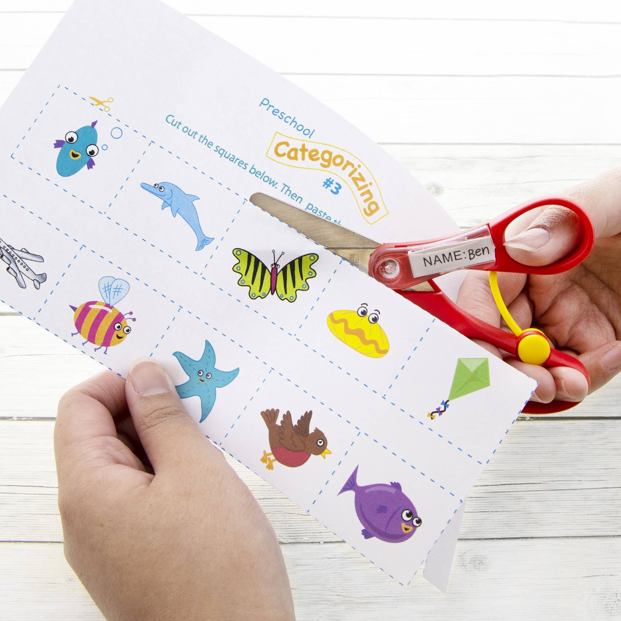 Luna Office Supply -  Everyday Essential - Wholesale Scissors - 5" Blunt Tip School Training Scissors w/ Name Tag5