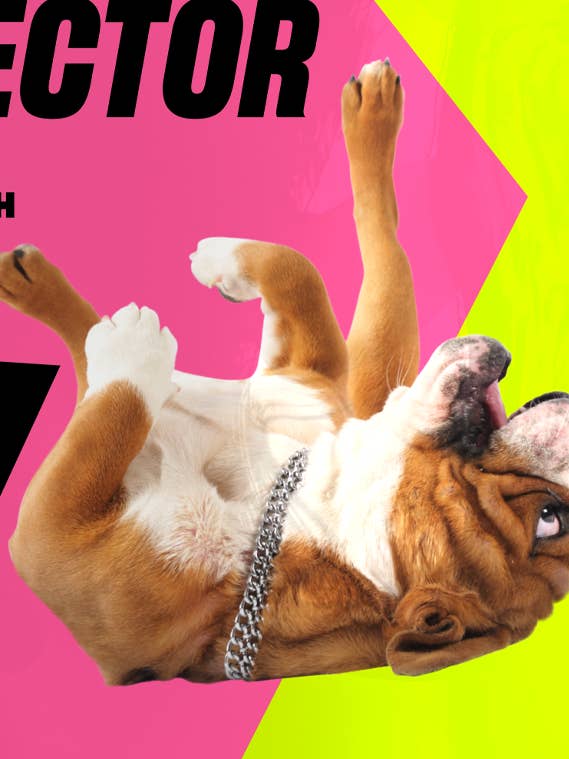 POOP PERFECTOR - Digestion Treats for wholesale by Grub Club