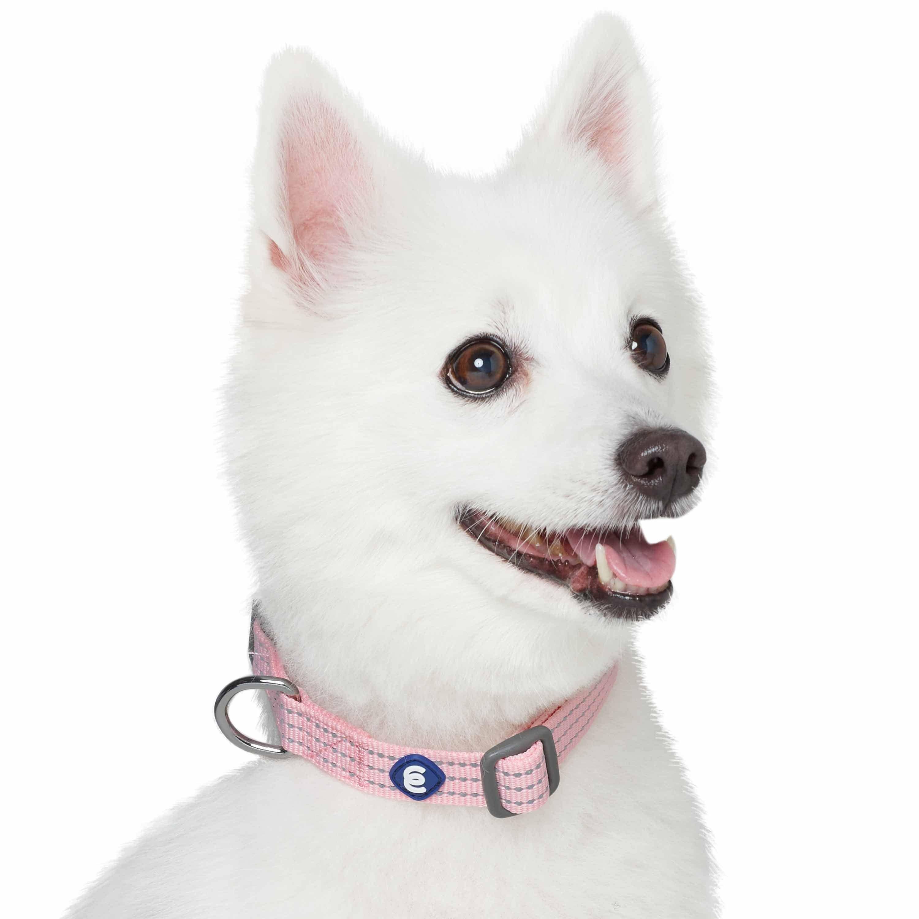 Blueberry Pet - Venta al por mayor Collar - Perros - Collar reflectante para perros Better Basic en 8 colores8