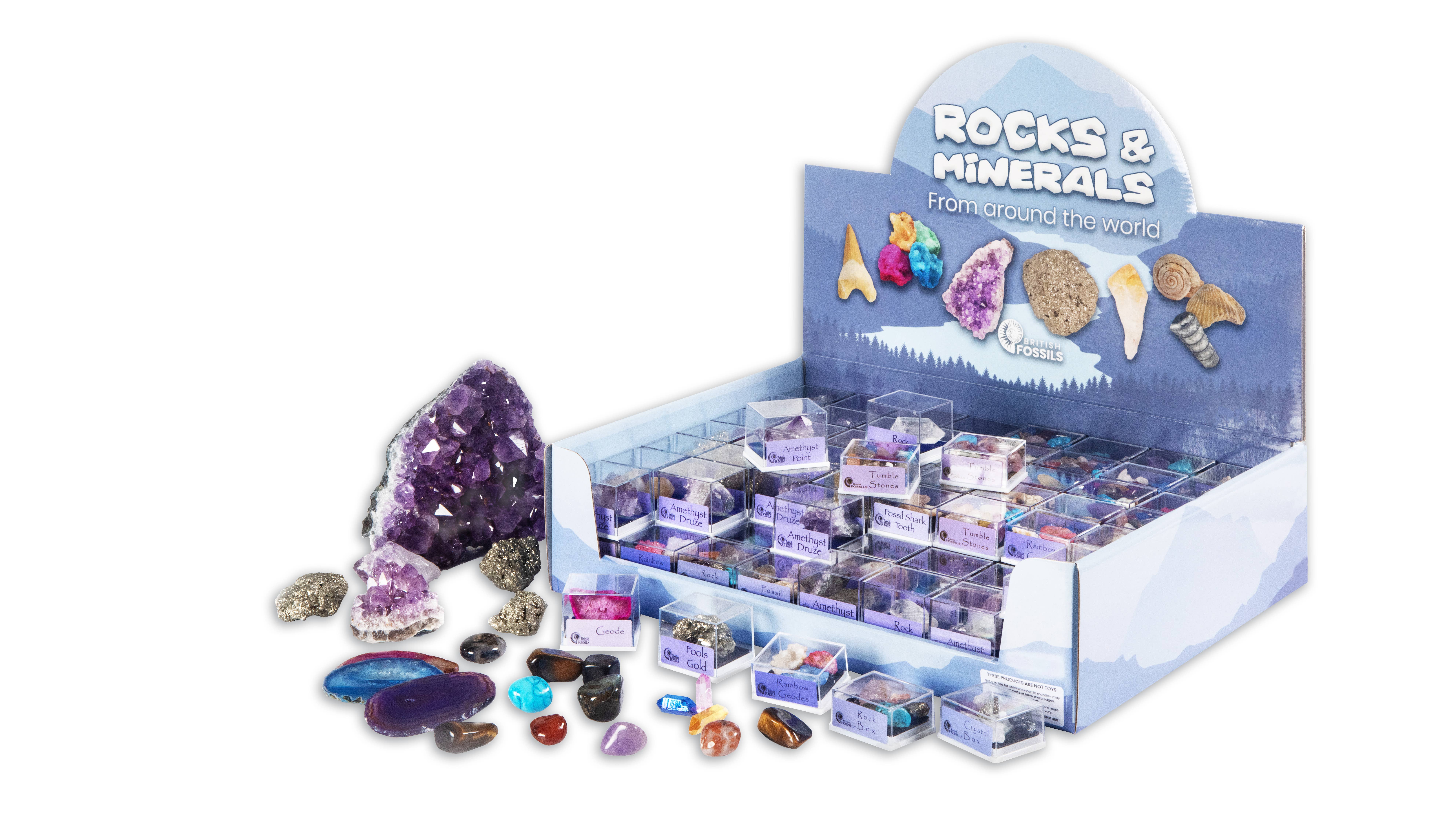 British Fossils – wholesale Retailer display – Child & baby – Small Box Pack