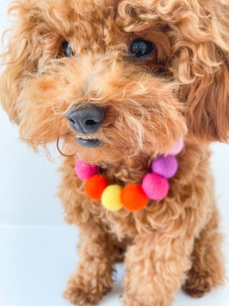 Puppies & Pom Poms - Wholesale Pet Collar - Dog - Pink - Personalised Pom Pom Dog Collar36