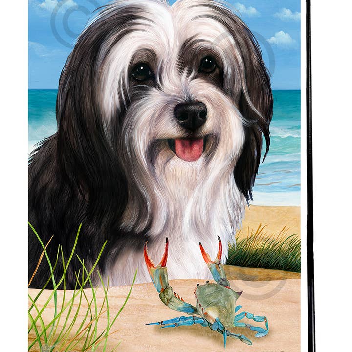 Pet Gifts USA, LLC – wholesale Flagga – Tibetansk terrier svart & vit sommar strand trädgård flagga