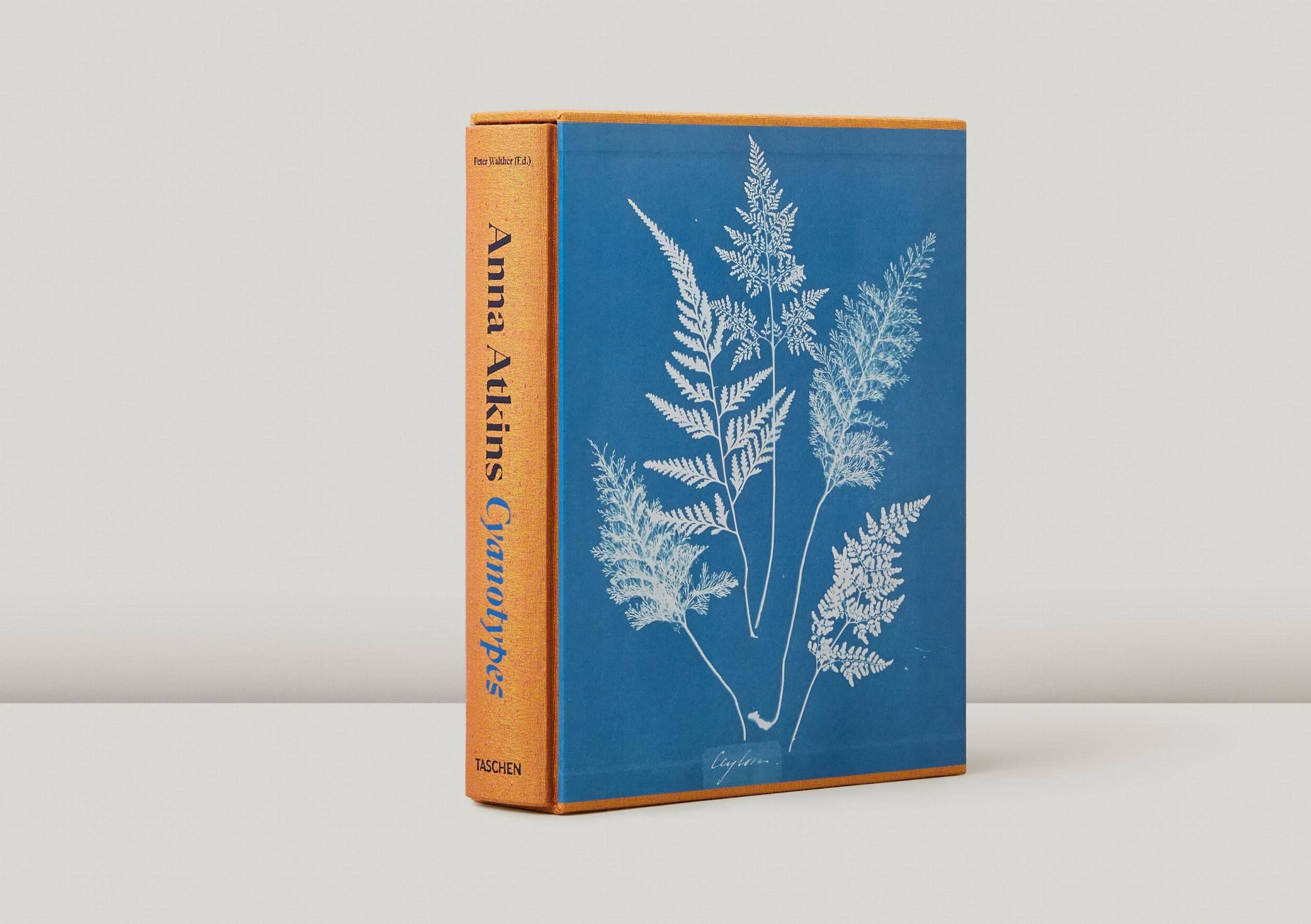 TASCHEN Europe - Wholesale Display Book - Anna Atkins. Cyanotypes (German, French, English) (FFE)1