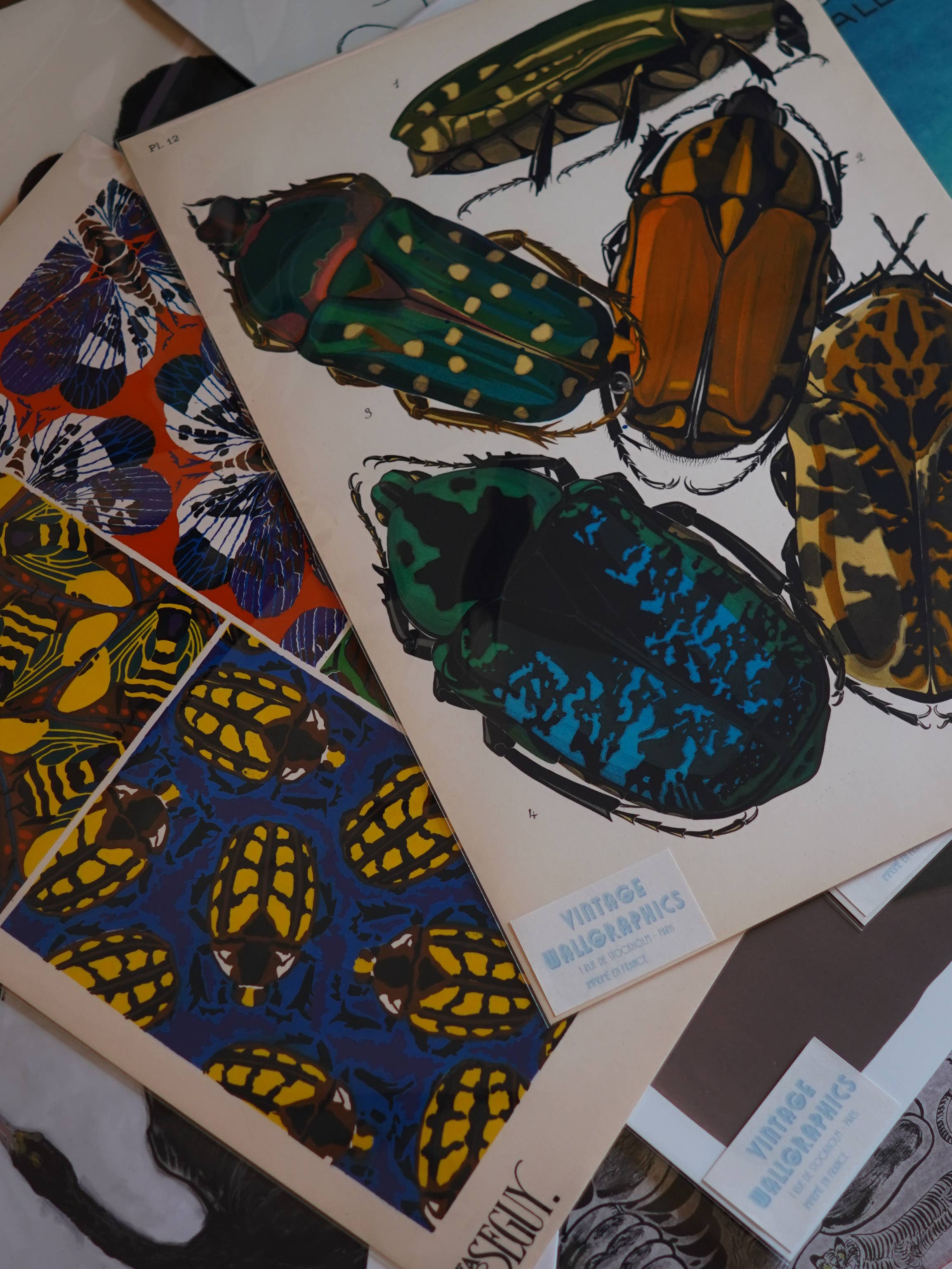 Vintage Wall Graphics - Wholesale Poster - Vintage 1905 Bike Print - Cycling Tour De France Poster1