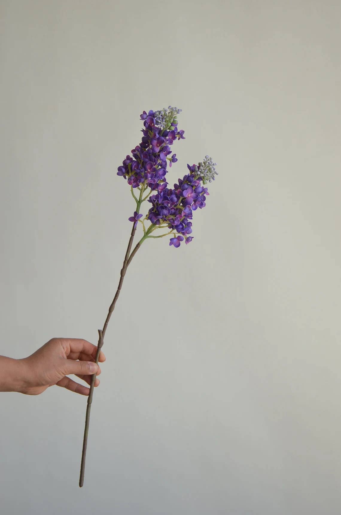 Angel Isabella – wholesale Artificial flowers – 25"Real Touch Lilac-2 Sprays3