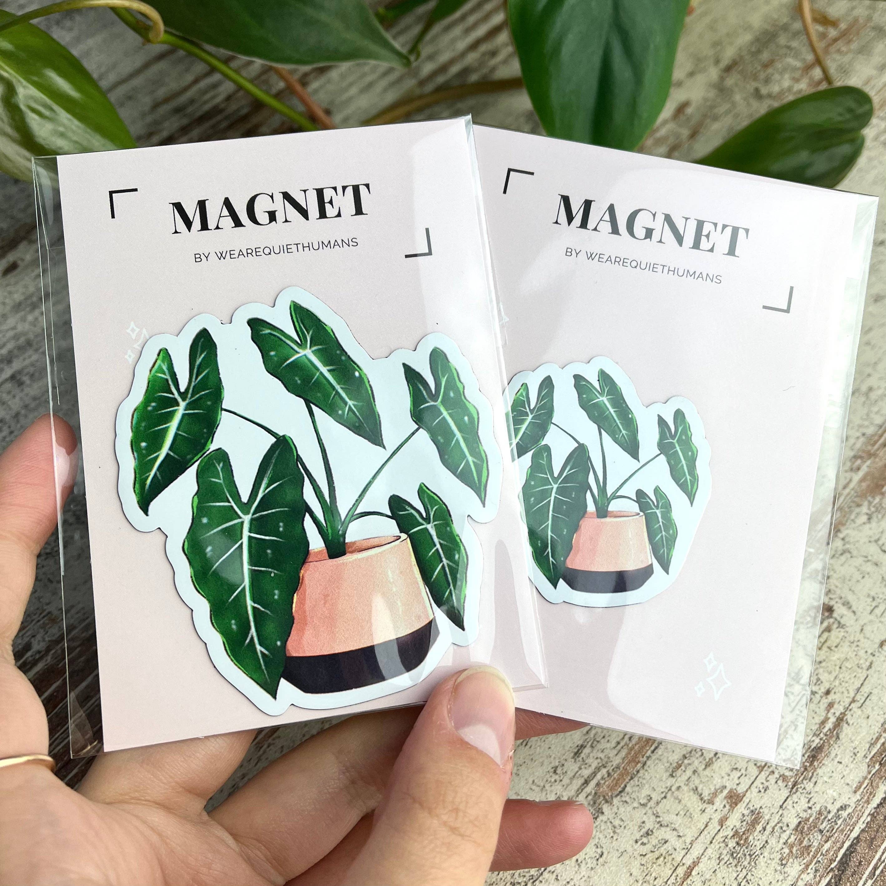 plantyintroverts - Wholesale Magnet - magnet - Alocasia Frydek0